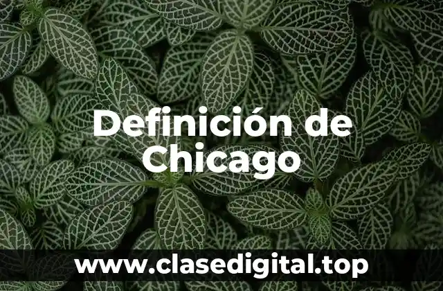 Definición de Chicago