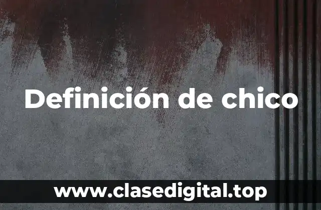 Definición de chico