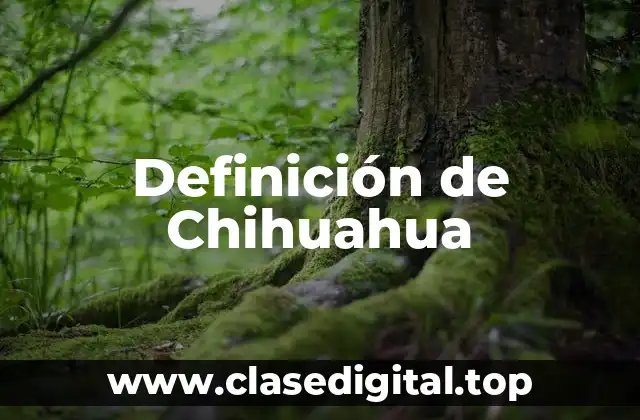 Definición de Chihuahua