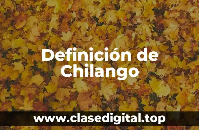 Definición de Chilango