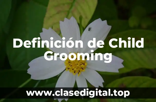 Definición de Child Grooming