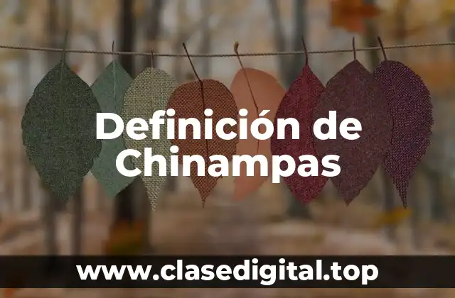 Ejemplos de chinampas