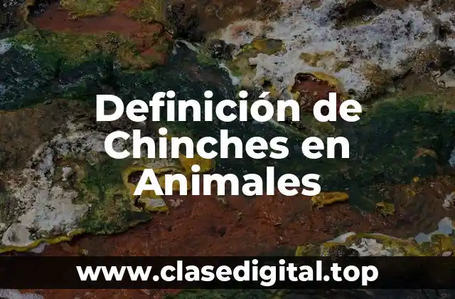 Definición de Chinches en Animales