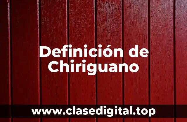 Definición de Chiriguano