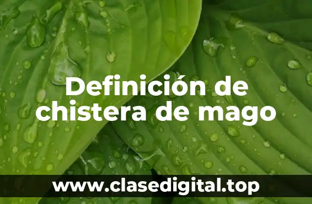Definición de chistera de mago