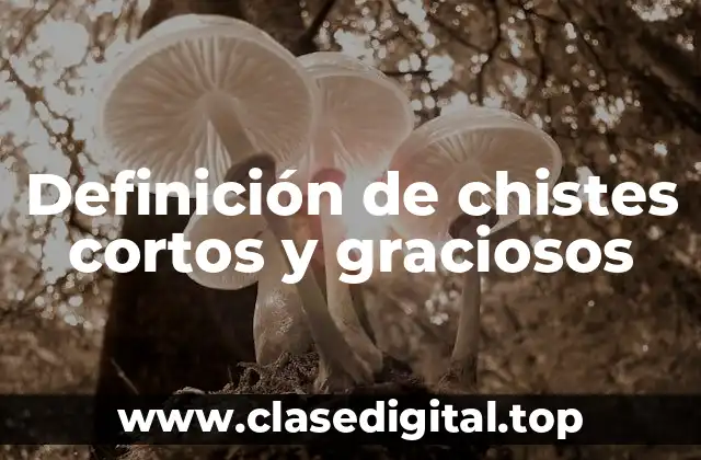 Definición de chistes cortos y graciosos