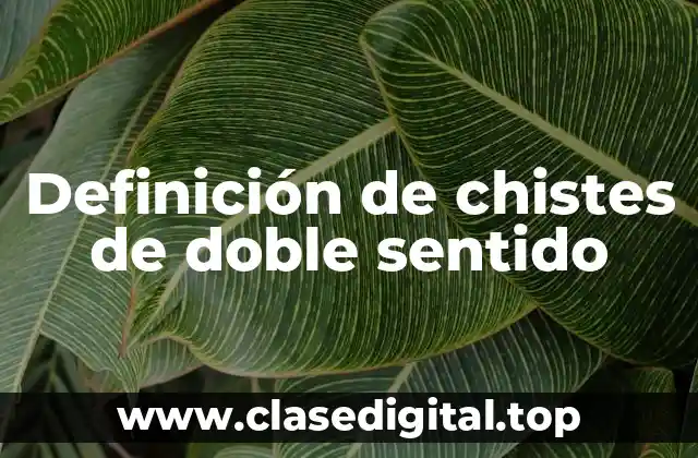 Definición de chistes de doble sentido