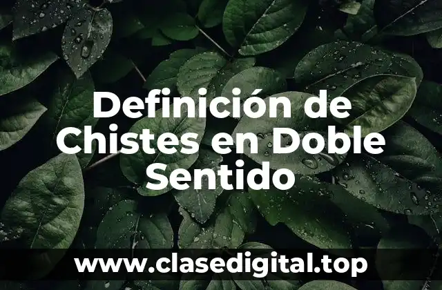 Ejemplos de Chistes en Doble Sentido