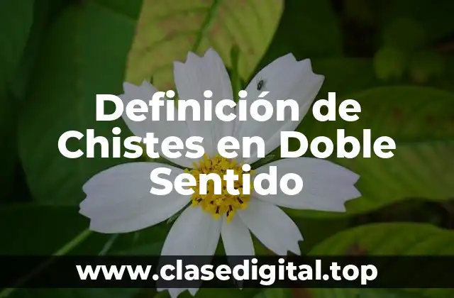 Definición técnica de Chistes en Doble Sentido