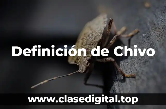 Definición de Chivo