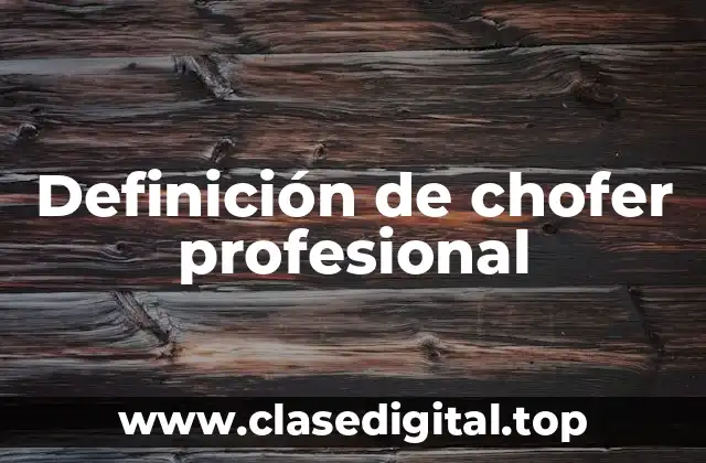 Definición de chofer profesional