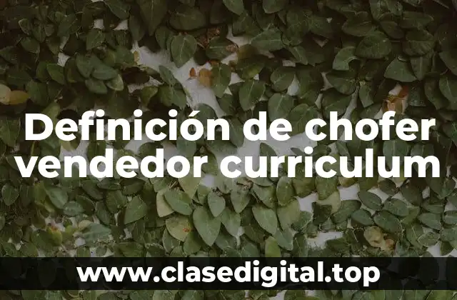 Definición de chofer vendedor curriculum