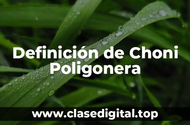 Definición de Choni Poligonera