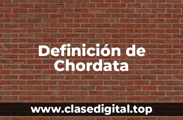 Definición de Chordata
