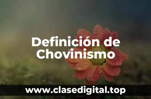 Ejemplos de Chovinismo