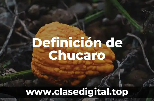 Definición de Chucaro