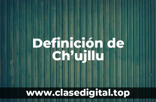 Definición de Ch’ujllu