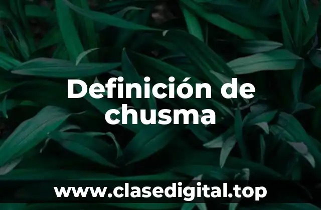 Definición de chusma