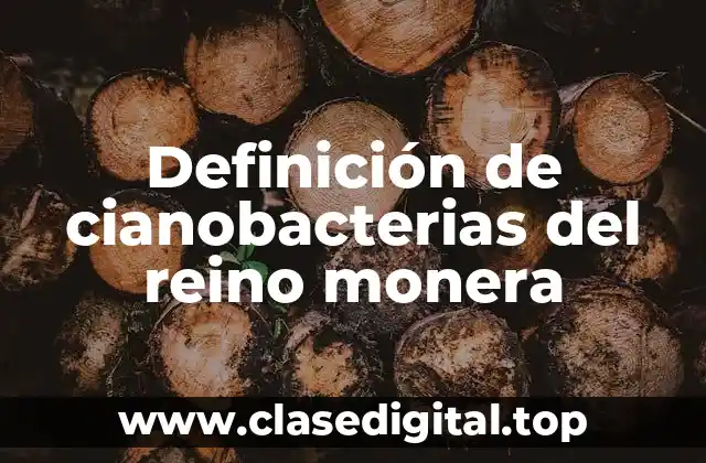Definición de cianobacterias del reino monera