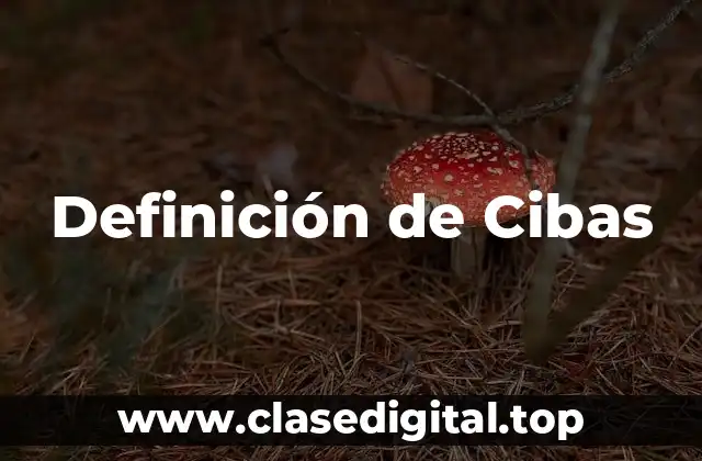 Definición de Cibas