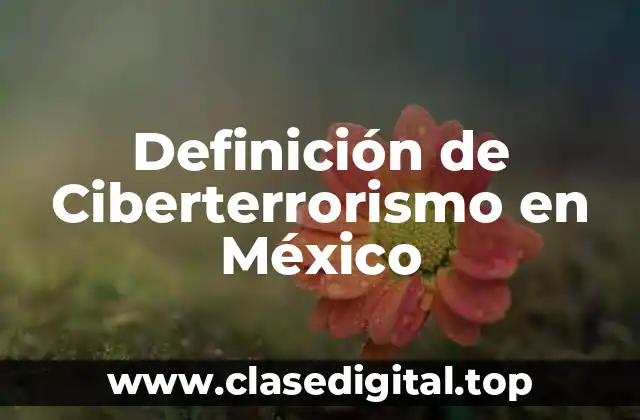 Definición de Ciberterrorismo en México