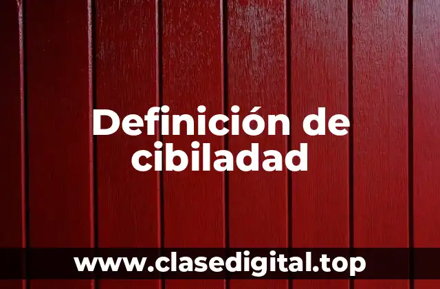 Definición de cibiladad