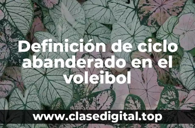 Definición de ciclo abanderado en el voleibol