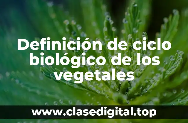 Definición de ciclo biológico de los vegetales