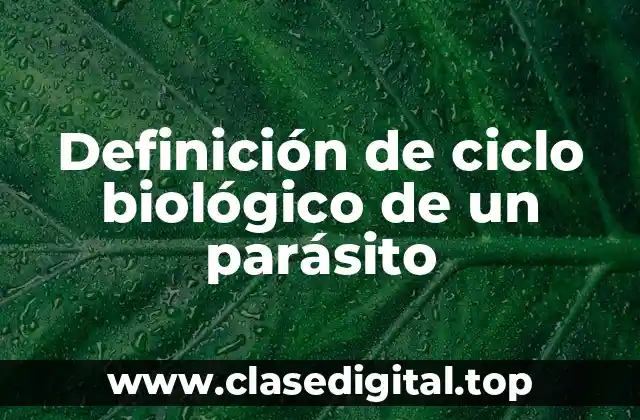 Definición de ciclo biológico de un parásito