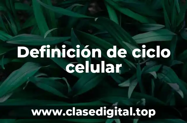 Definición de ciclo celular