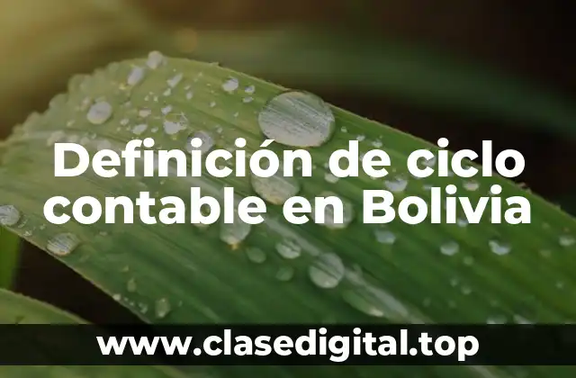 Definición de ciclo contable en Bolivia