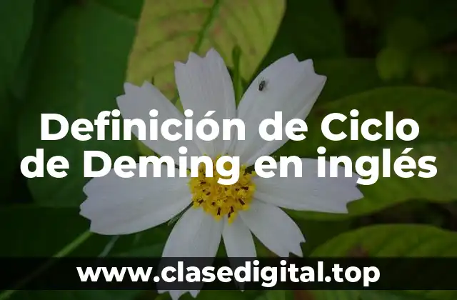 Definición de Ciclo de Deming en inglés