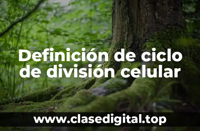 Definición de ciclo de división celular