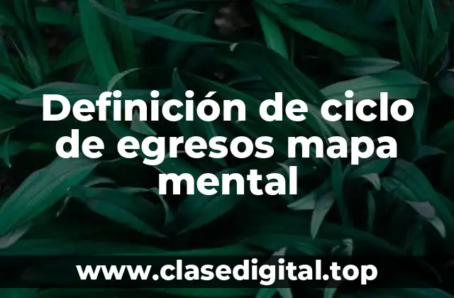 Definición de ciclo de egresos mapa mental