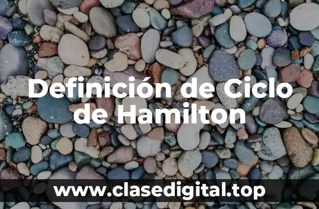 Definición de Ciclo de Hamilton