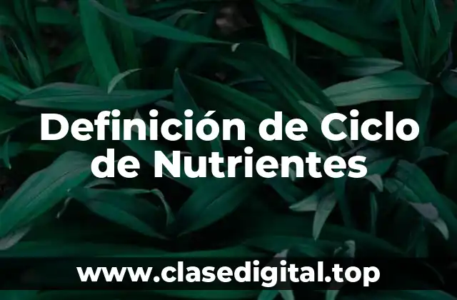 Ejemplos de Ciclo de Nutrientes