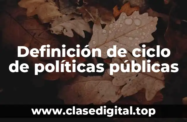 Definición técnica de ciclo de políticas públicas