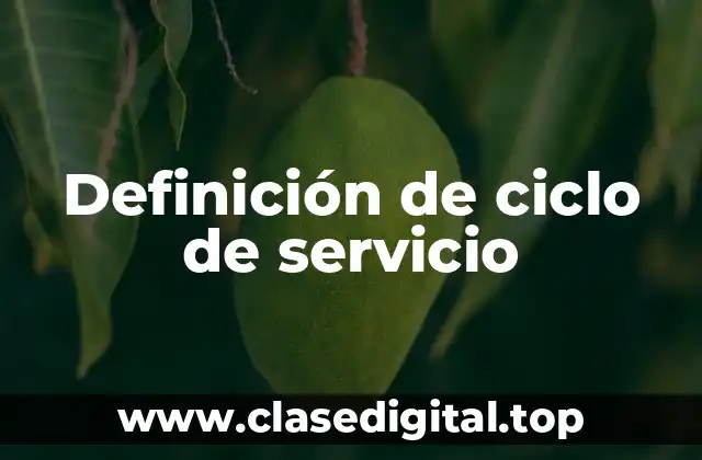Definición de ciclo de servicio