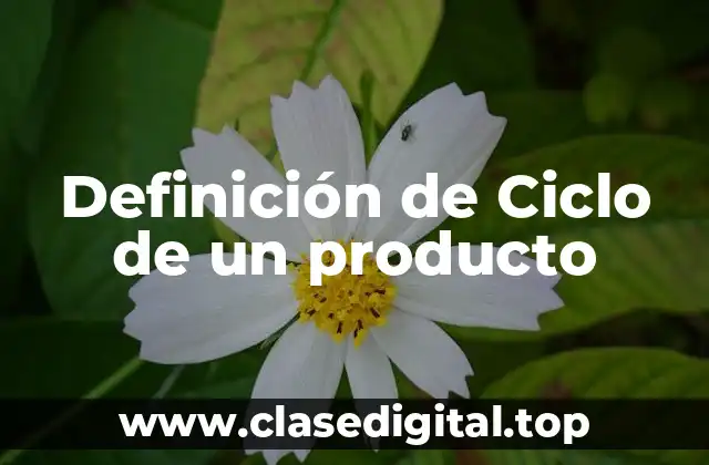 Ejemplos de Ciclo de un Producto
