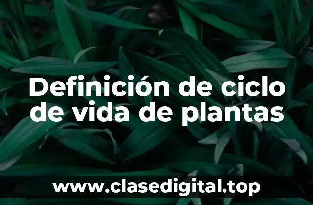 Definición de ciclo de vida de plantas