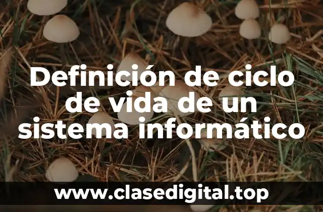 Definición de ciclo de vida de un sistema informático