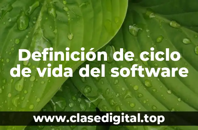 Definición de ciclo de vida del software