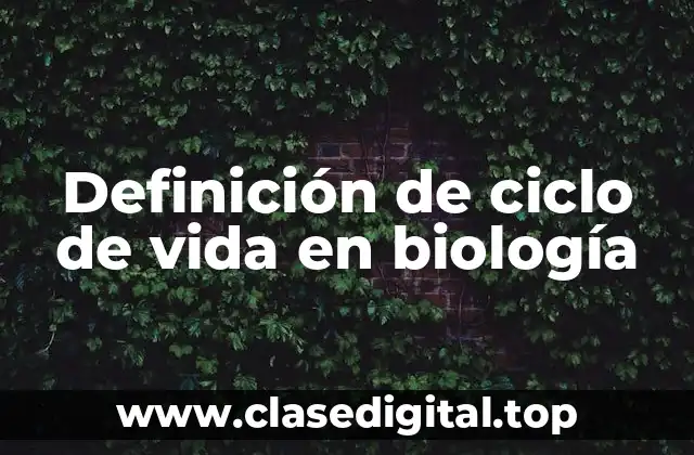 Definición técnica de ciclo de vida