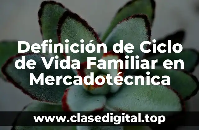 Definición de Ciclo de Vida Familiar en Mercadotécnica
