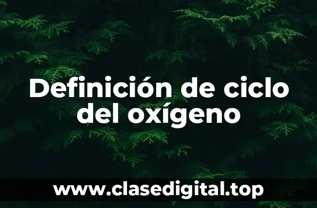 Definición técnica de ciclo del oxígeno