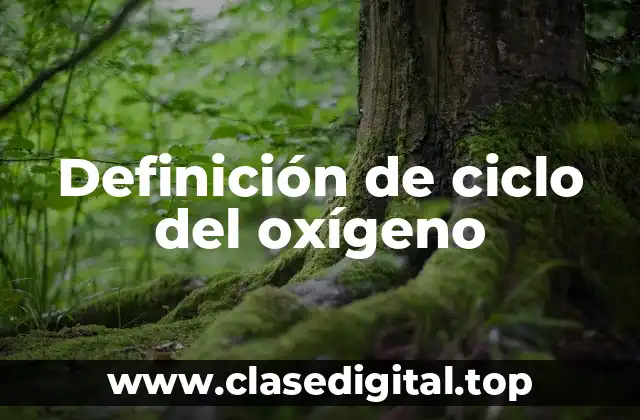 Definición de ciclo del oxígeno