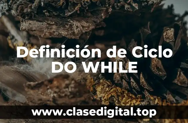 Ejemplos de Ciclo DO WHILE