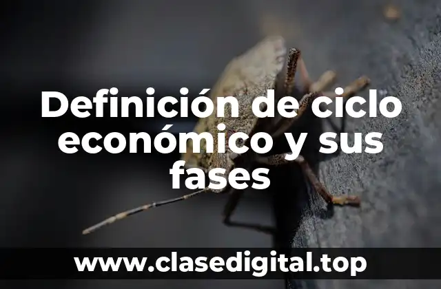 Definición de ciclo económico y sus fases