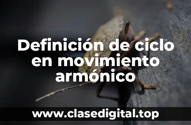 Definición de ciclo en movimiento armónico