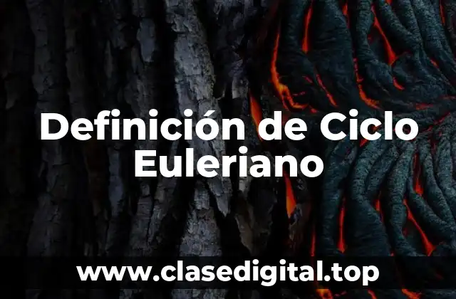 Definición de Ciclo Euleriano